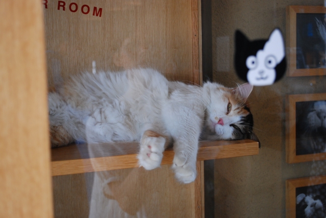 2012.7.15 kishigawa